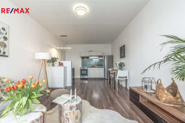 REMAX Brno