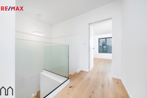 REMAX Delux