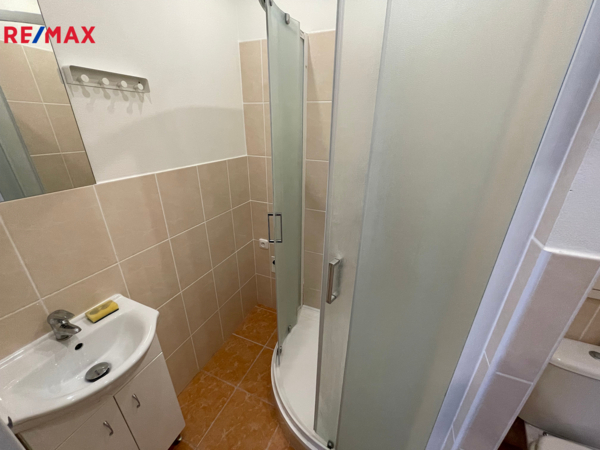 REMAX Delux