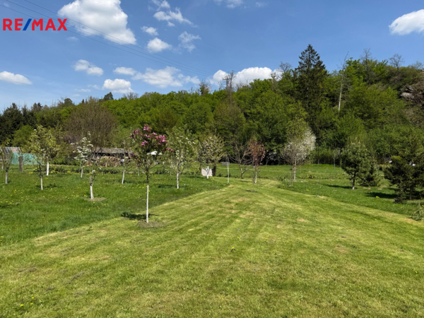 REMAX Delux