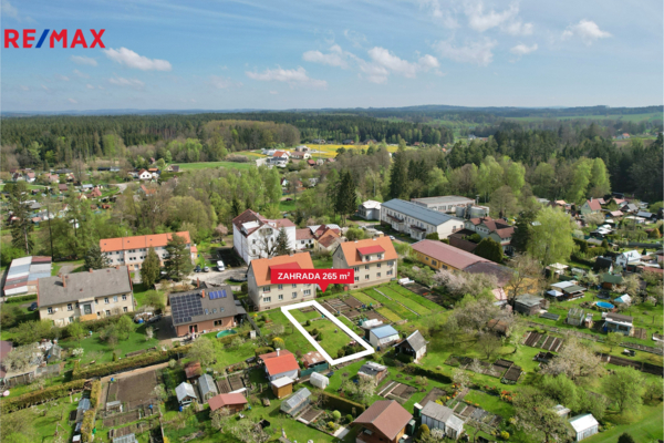 REMAX Delux
