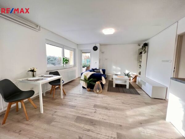 REMAX Delux