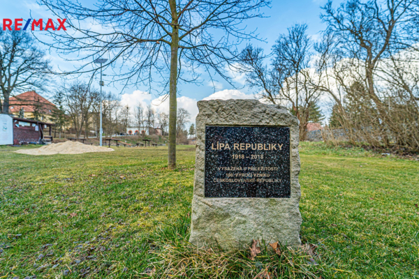 2723138.jpg