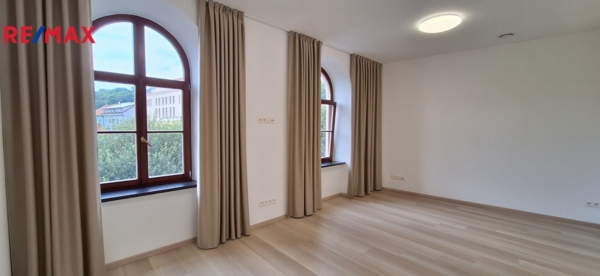 REMAX Delux