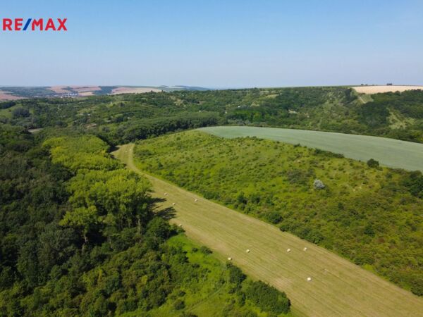REMAX Brno