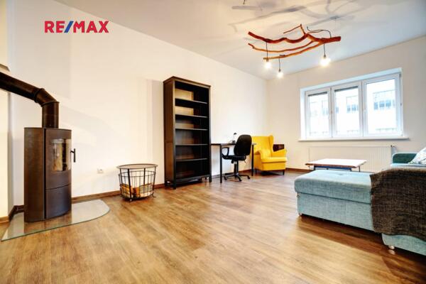 REMAX Delux