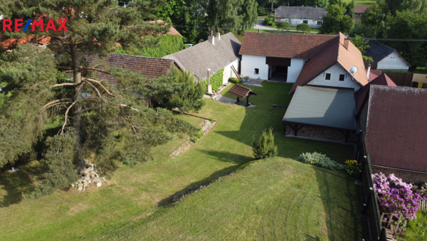 REMAX Delux