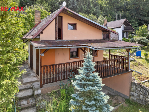 REMAX Delux