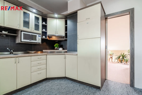 REMAX Delux