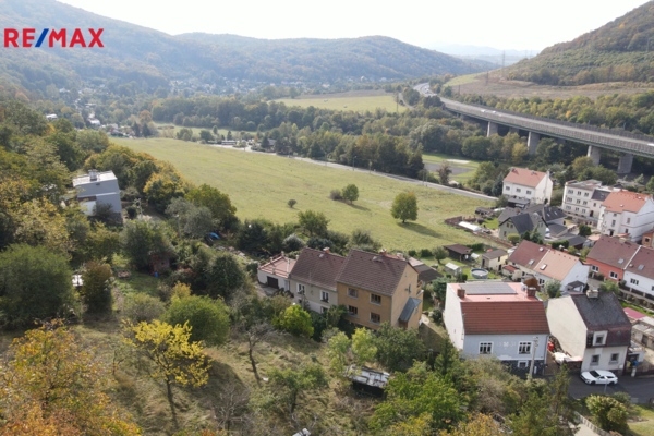 REMAX Delux