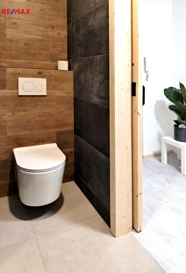 REMAX Delux