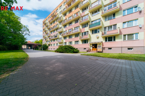 REMAX Delux