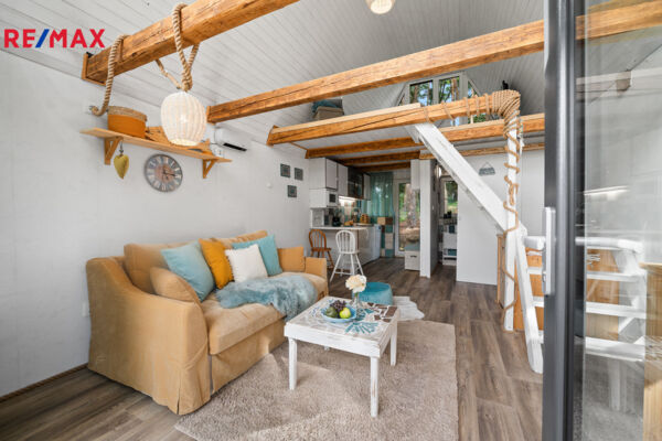 REMAX Delux