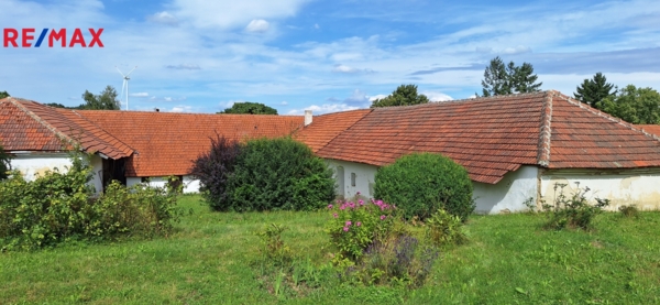 2944415.jpg