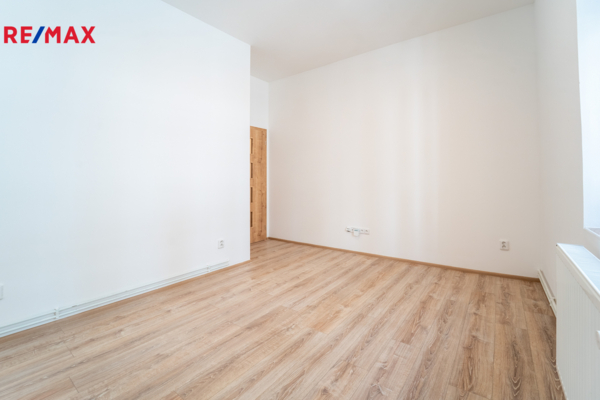 REMAX Delux