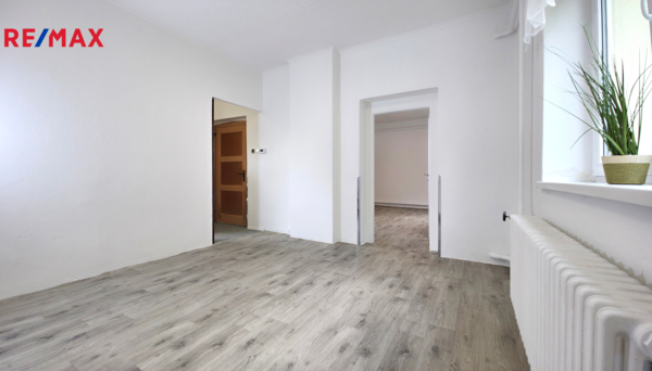 REMAX Delux