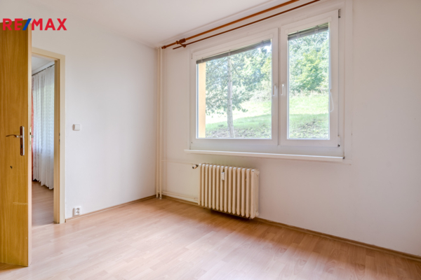 REMAX Delux