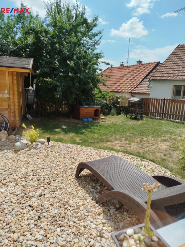 2905154.jpg