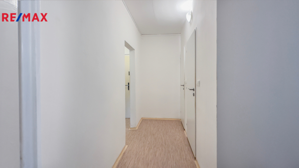 REMAX Delux