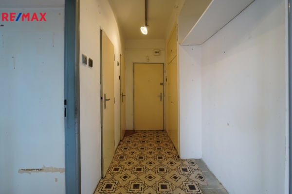 2935270.jpg