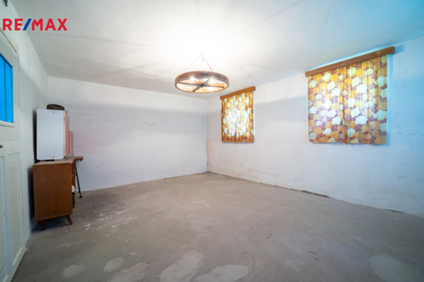 REMAX Delux