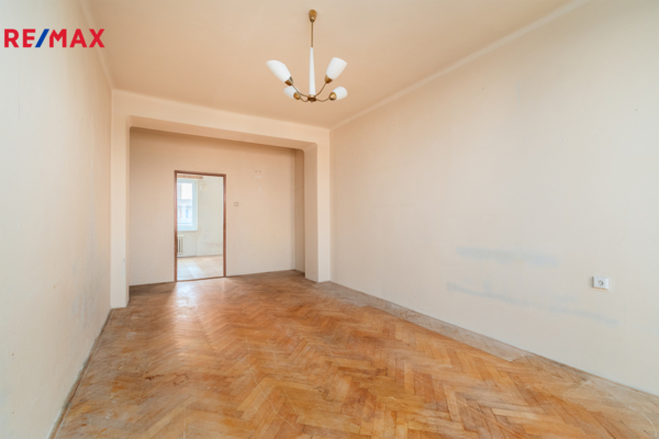 REMAX Delux