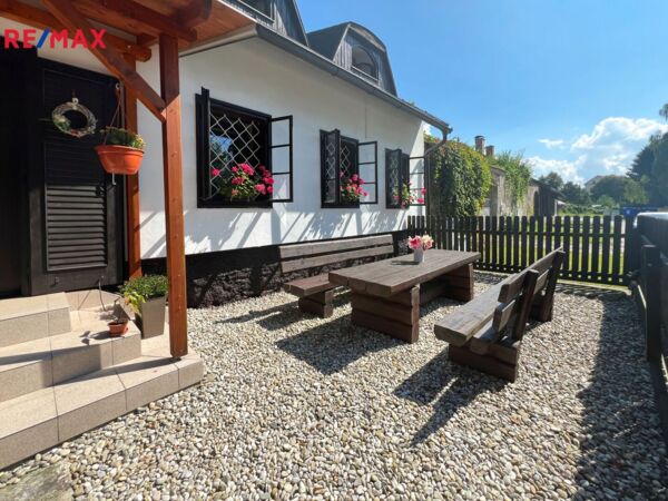 REMAX Delux