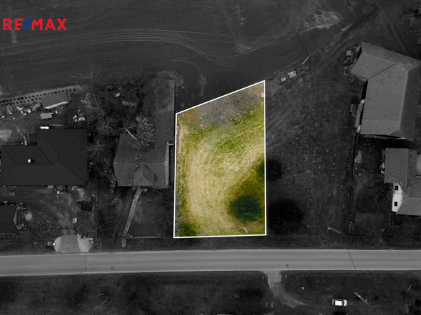 REMAX Delux