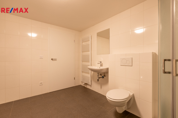 REMAX Delux