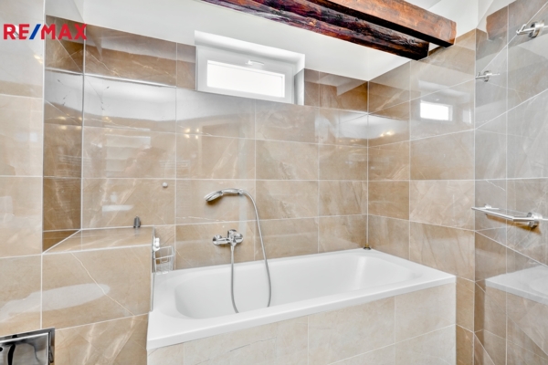 REMAX Delux