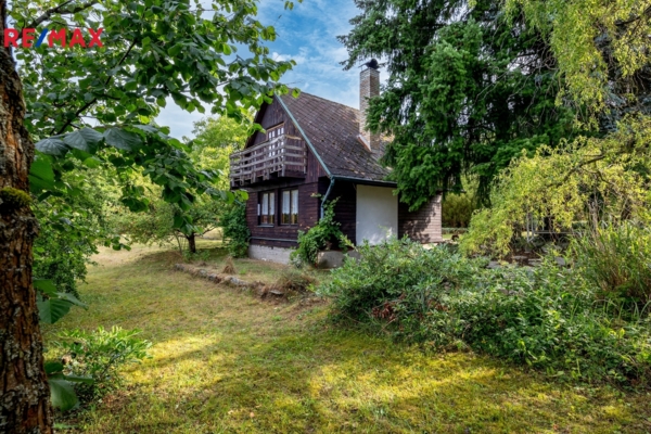 REMAX Delux
