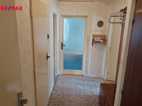REMAX Delux