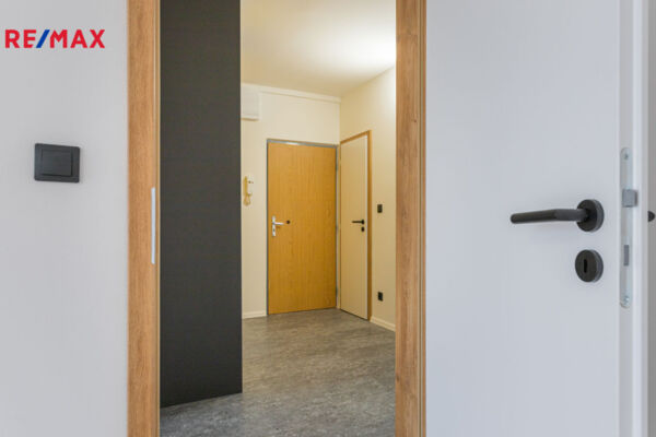 REMAX Delux