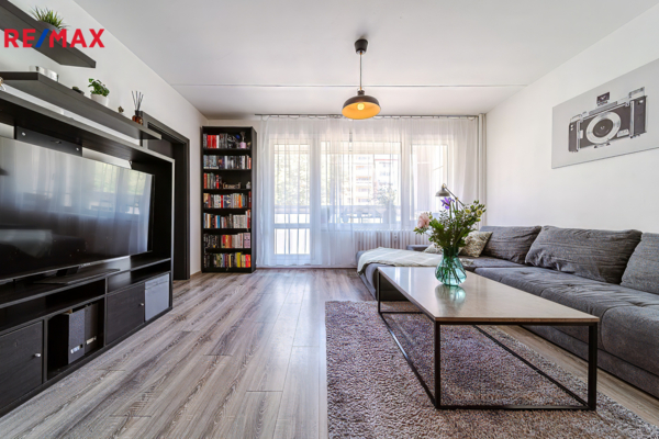 REMAX Delux