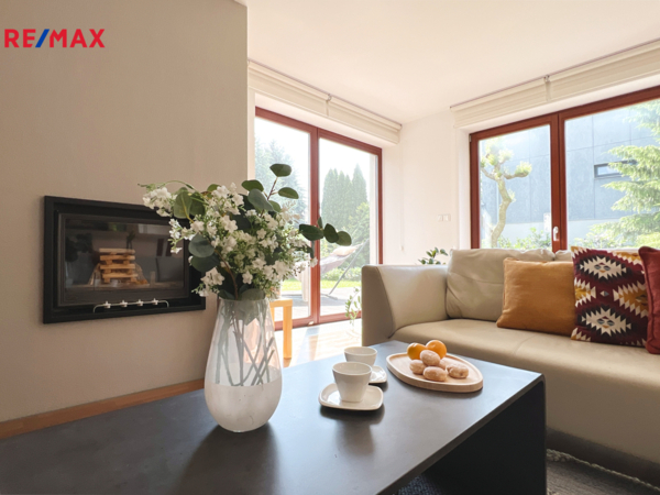 REMAX Delux