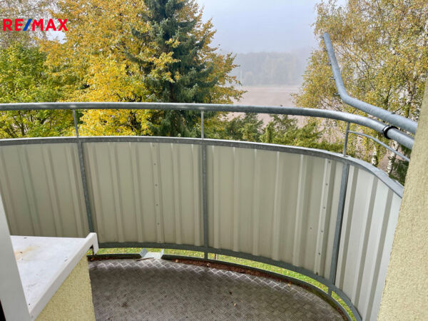 REMAX Delux