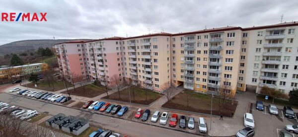 2735602.jpg