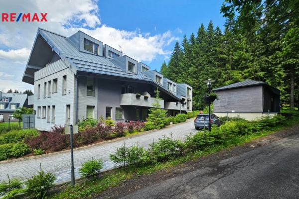 REMAX Delux