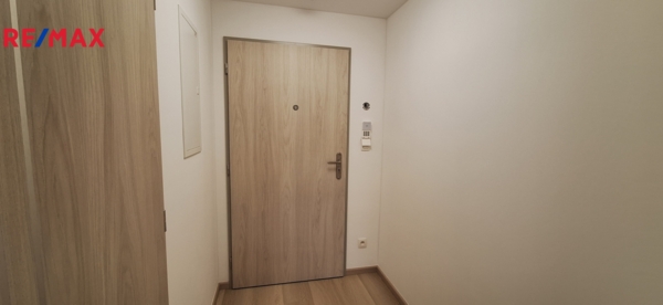 2888515.jpg