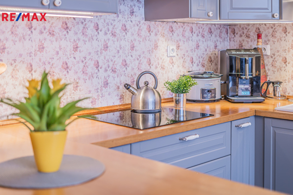 REMAX Delux