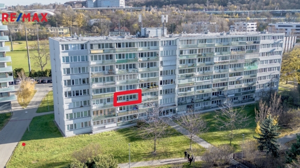 2952385.jpg