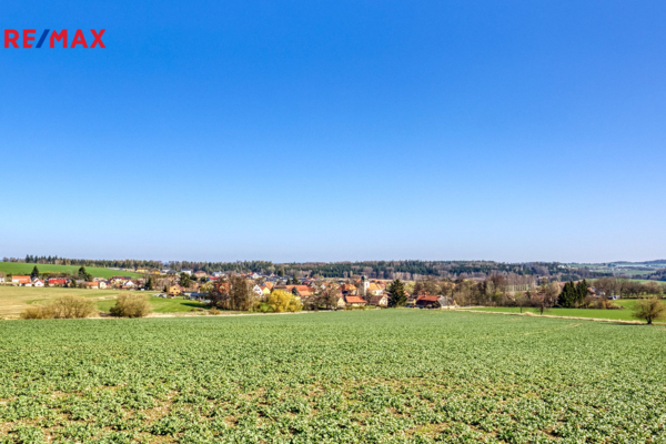 REMAX Delux