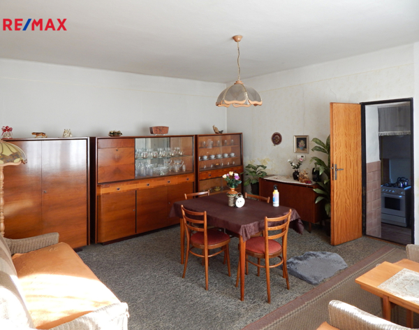 REMAX Delux