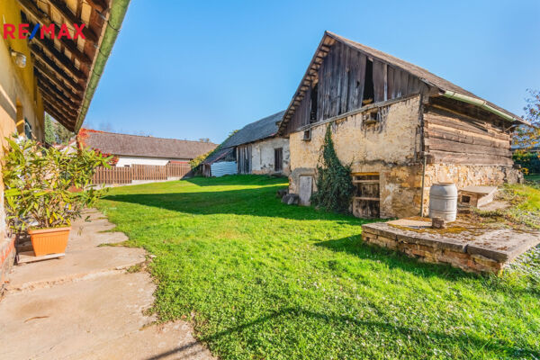 REMAX Delux