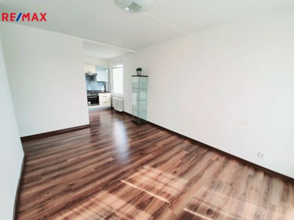 REMAX Delux