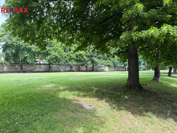 REMAX Brno