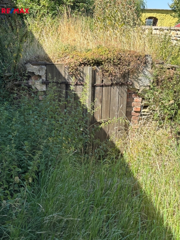 2942682.jpg