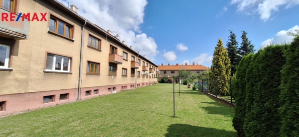 2879418.jpg