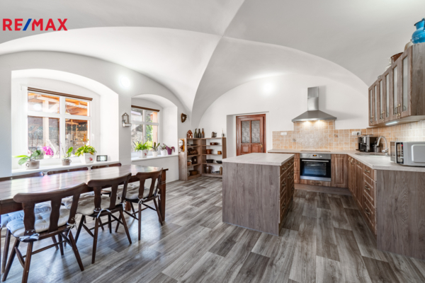 REMAX Delux