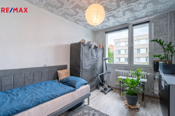 REMAX Delux